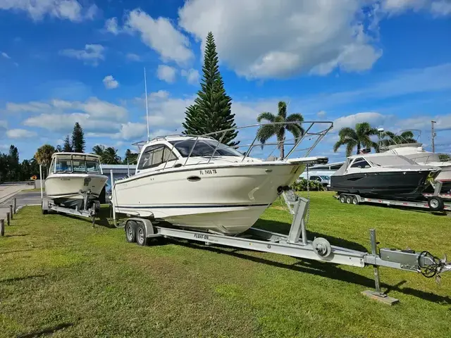 Cutwater C 24 Sport Coupe