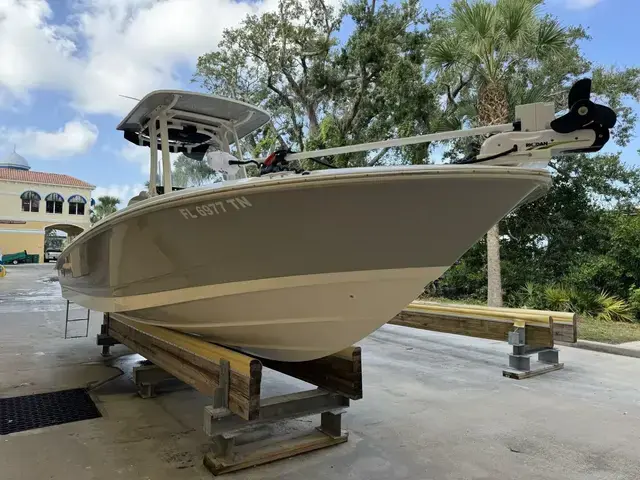 Boston Whaler 250 Dauntless