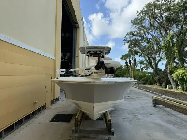 Boston Whaler 250 Dauntless