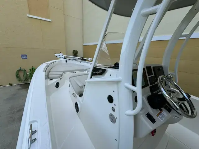 Boston Whaler 250 Dauntless