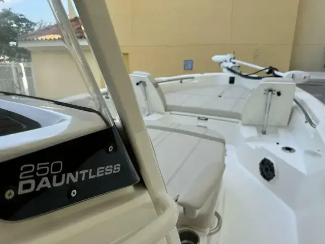 Boston Whaler 250 Dauntless