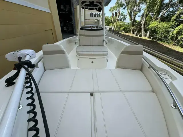 Boston Whaler 250 Dauntless