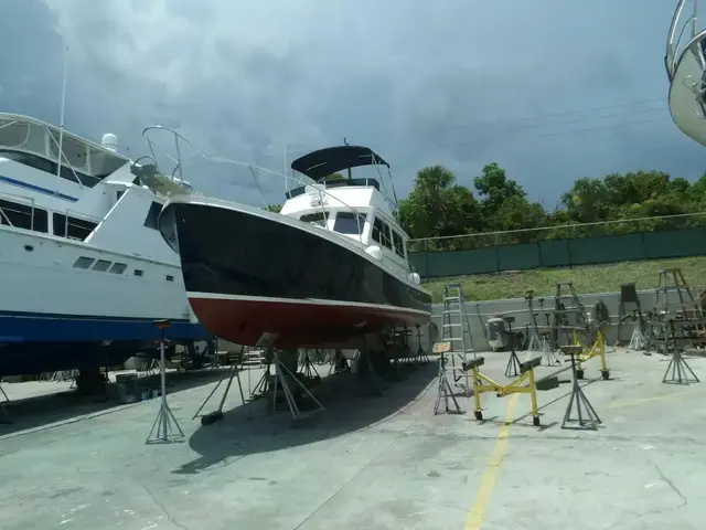 Nauset Cruiser