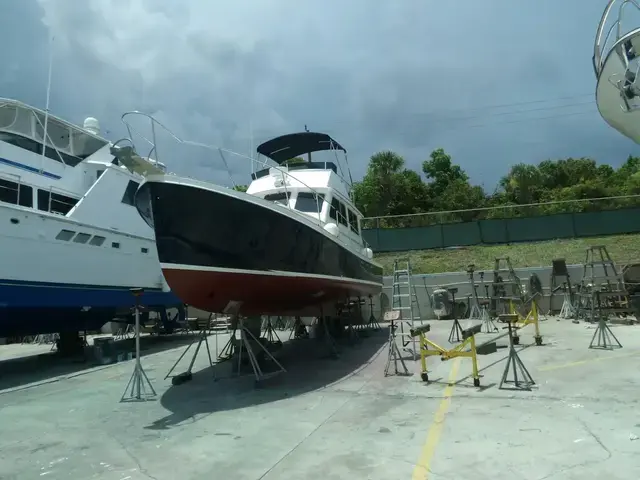 Nauset Cruiser