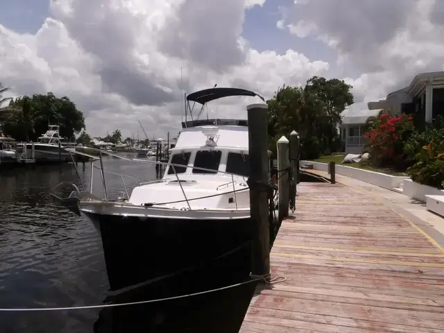 Nauset Cruiser