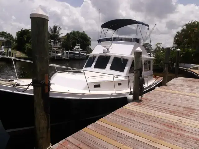 Nauset Cruiser