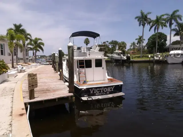 Nauset Cruiser