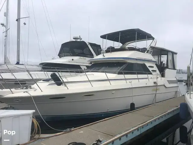 Sea Ray 410 Aft Cabin