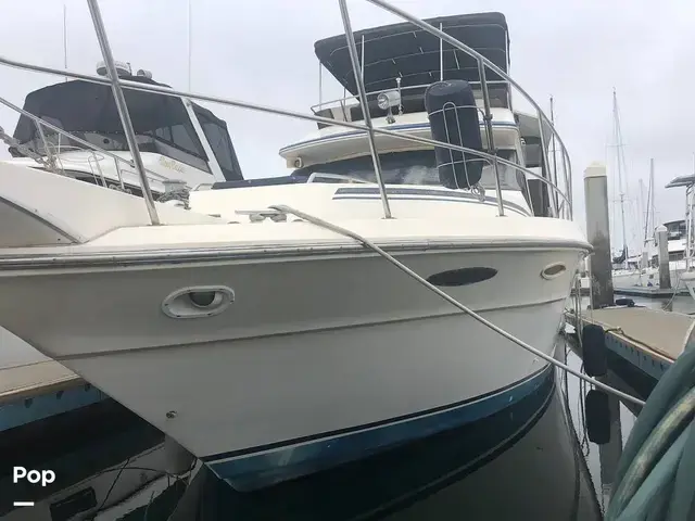 Sea Ray 410 Aft Cabin