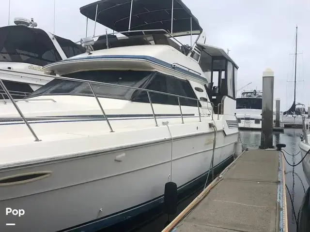 Sea Ray 410 Aft Cabin