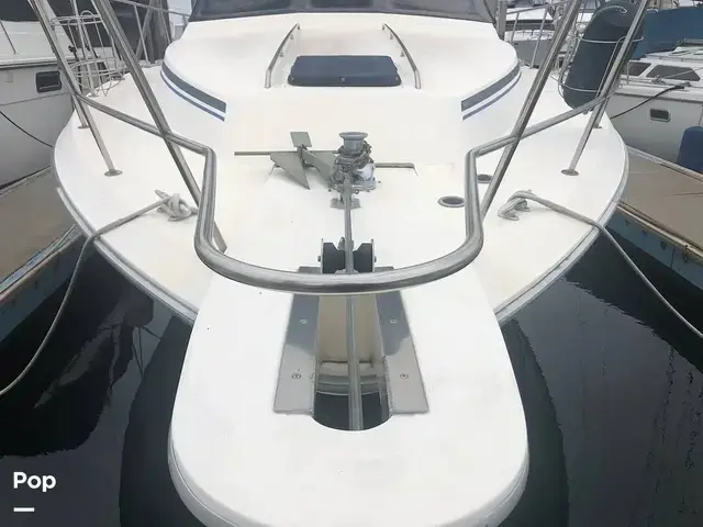 Sea Ray 410 Aft Cabin