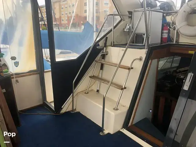 Sea Ray 410 Aft Cabin