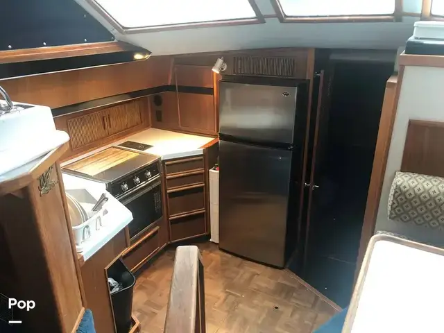 Sea Ray 410 Aft Cabin