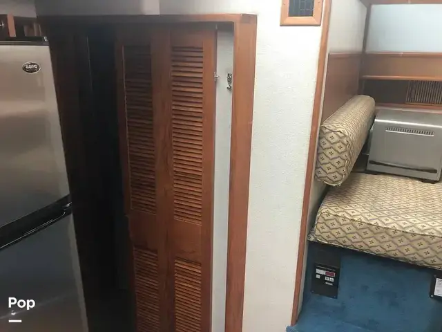 Sea Ray 410 Aft Cabin