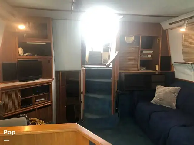 Sea Ray 410 Aft Cabin