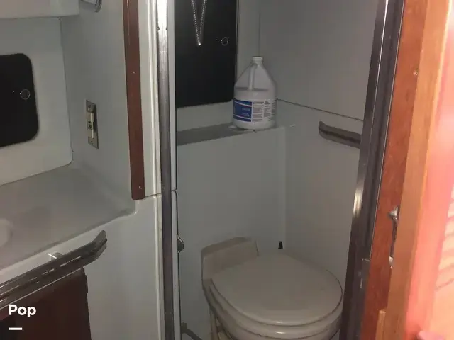 Sea Ray 410 Aft Cabin