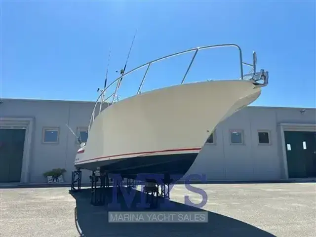 Open Blue 36