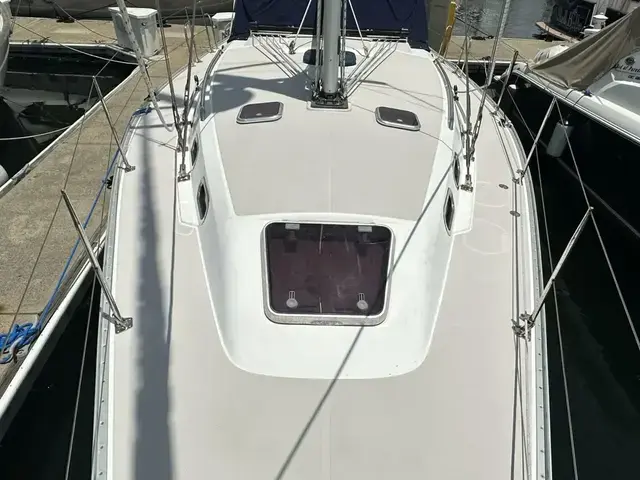 Catalina 385