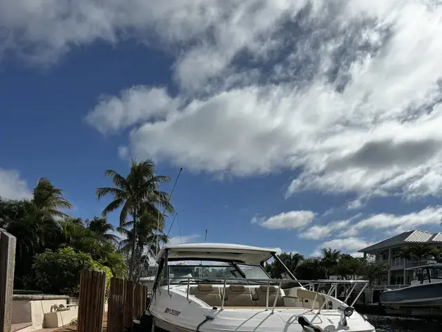 Sea Ray 320 Sundancer