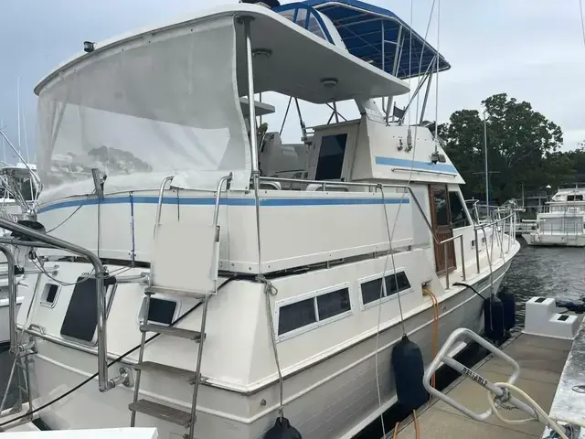 Hartman Palmer 38 Sundeck