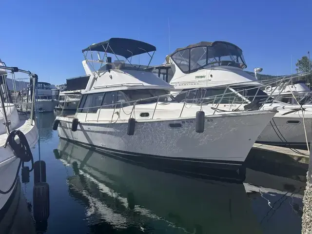 Bayliner 32