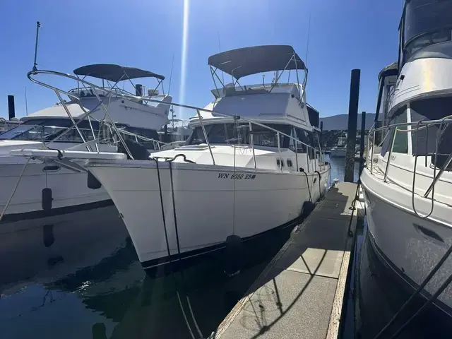 Bayliner 32