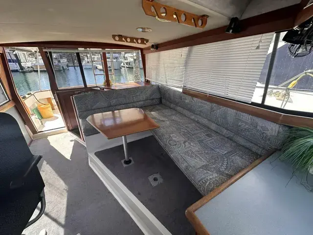 Bayliner 32