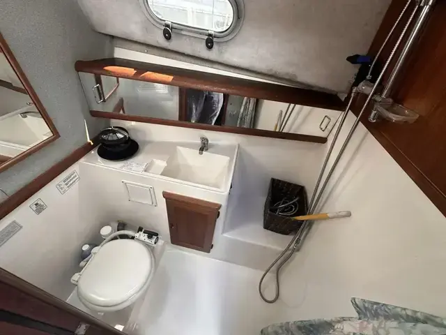 Bayliner 32