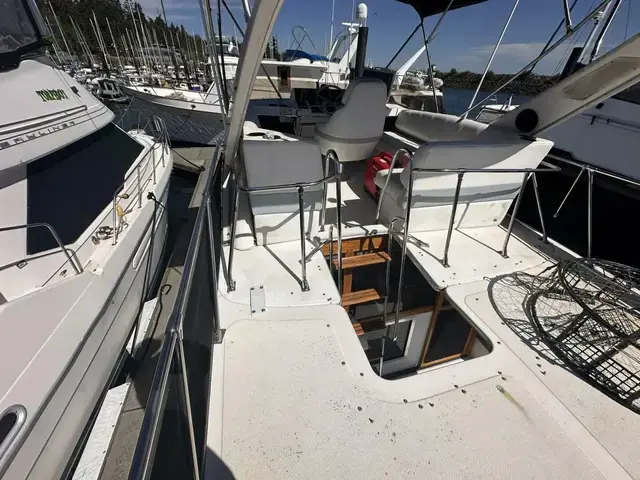 Bayliner 32