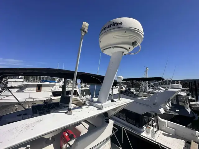 Bayliner 32