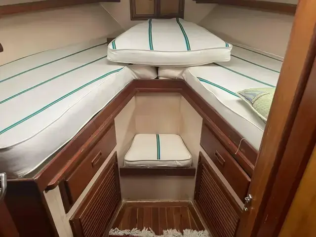 Hartman Palmer 38 Sundeck