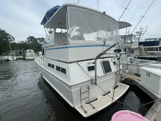 Hartman Palmer 38 Sundeck