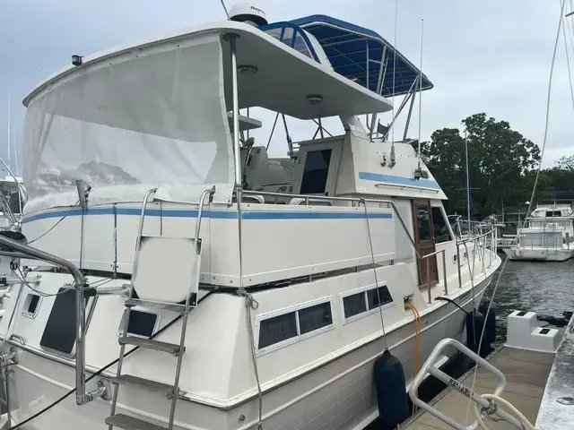 Hartman Palmer 38 Sundeck