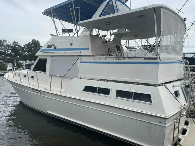 Hartman Palmer 38 Sundeck