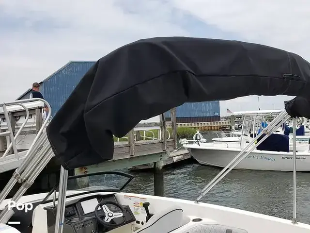 Bayliner Vr6