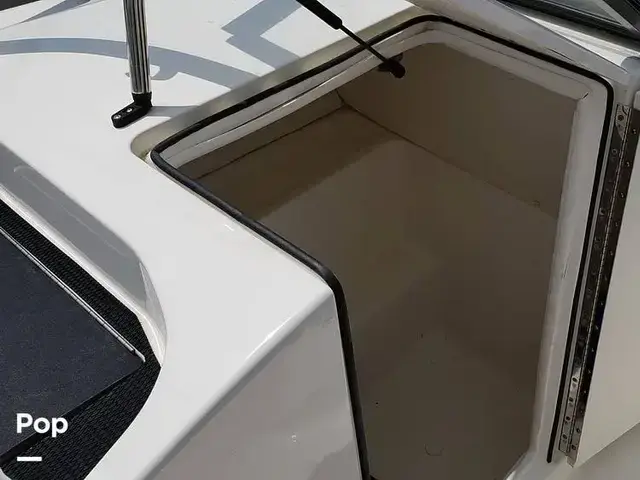 Bayliner VR6 OB