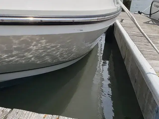 Bayliner VR6 OB