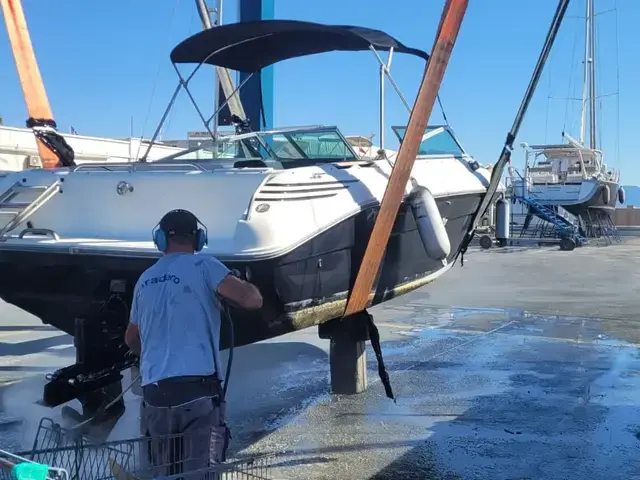 Sea Ray 240 Bow Rider