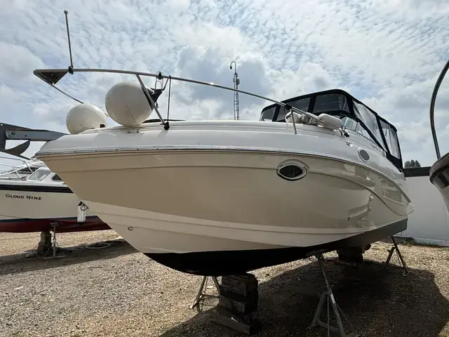 Rinker 250 Fiesta VEE