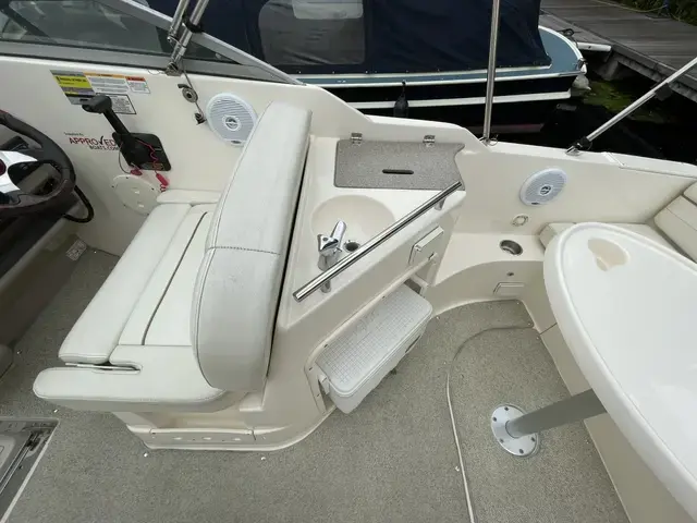 Rinker 250 Fiesta VEE