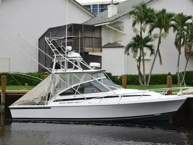 Blackfin Boats Combi 33