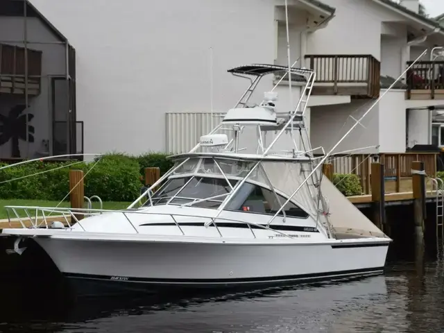 Blackfin Boats Combi 33