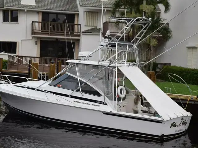 Blackfin Boats Combi 33