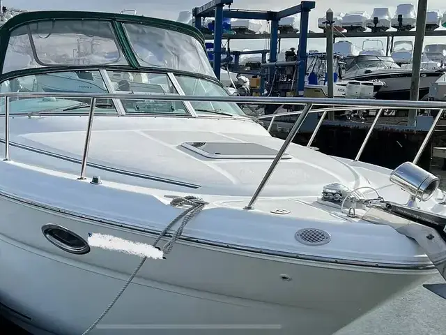 Sea Ray 290 Amberjack