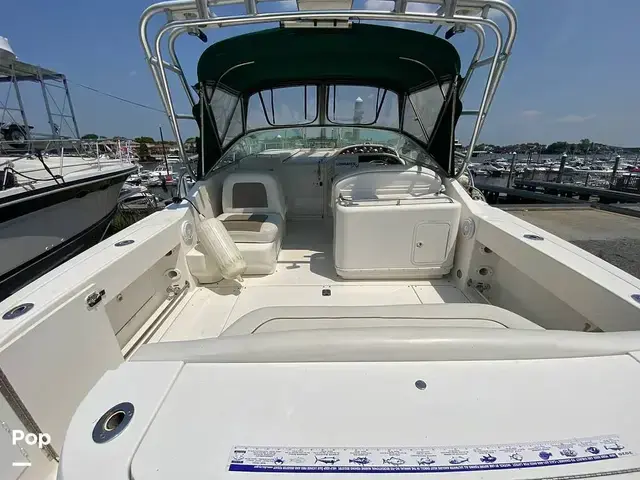 Sea Ray 290 Amberjack