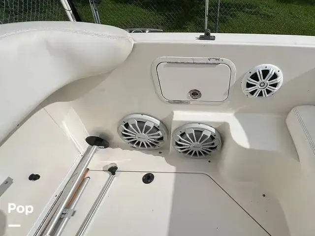 Sea Ray 260 Sundancer