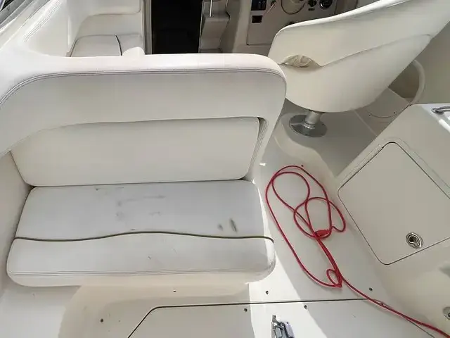 Sea Ray 260 Sundancer