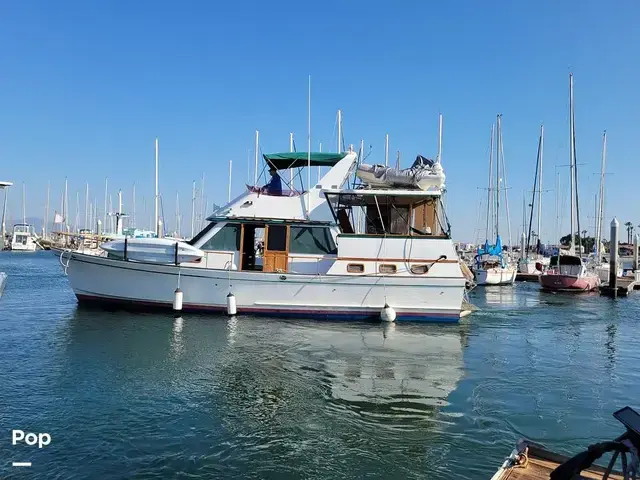 Trader 43 Double Cabin