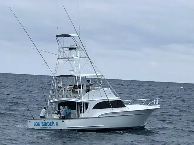 Sunny Briggs Flybridge Sportfish