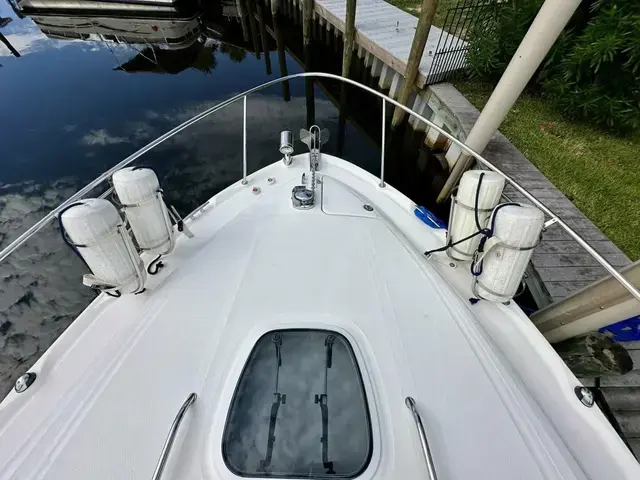 Sea Ray 340